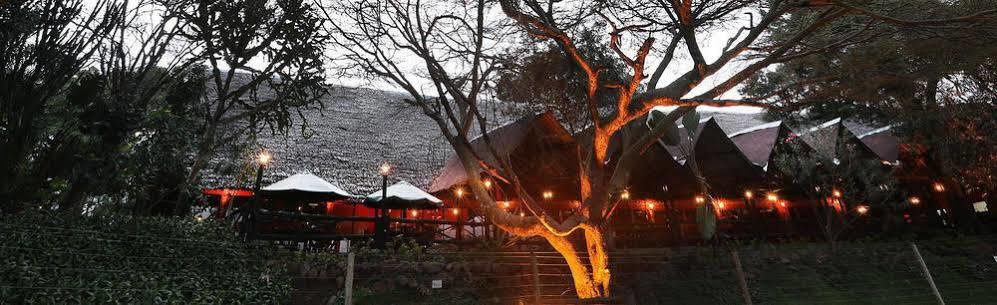 Mara River Lodge Aitong Εξωτερικό φωτογραφία